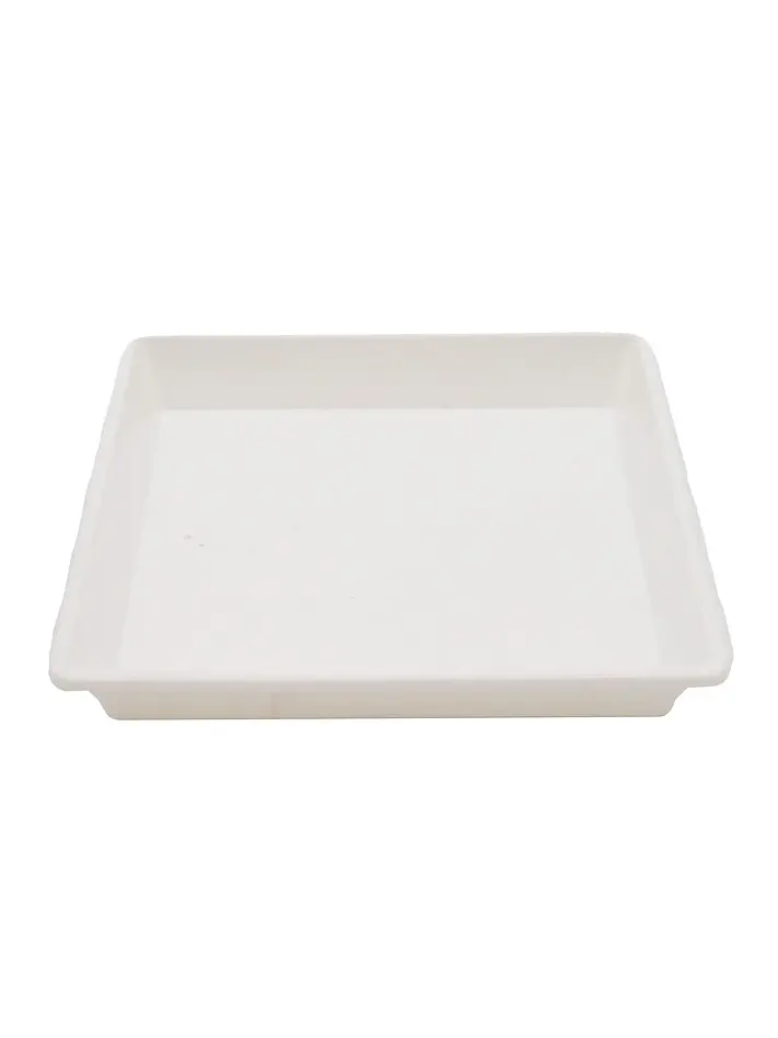 Plato Cuadrado Blanco 3