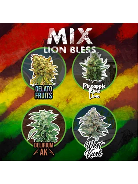 Mix Lion Bless Auto -Delirium Seeds (X8/X14) 1