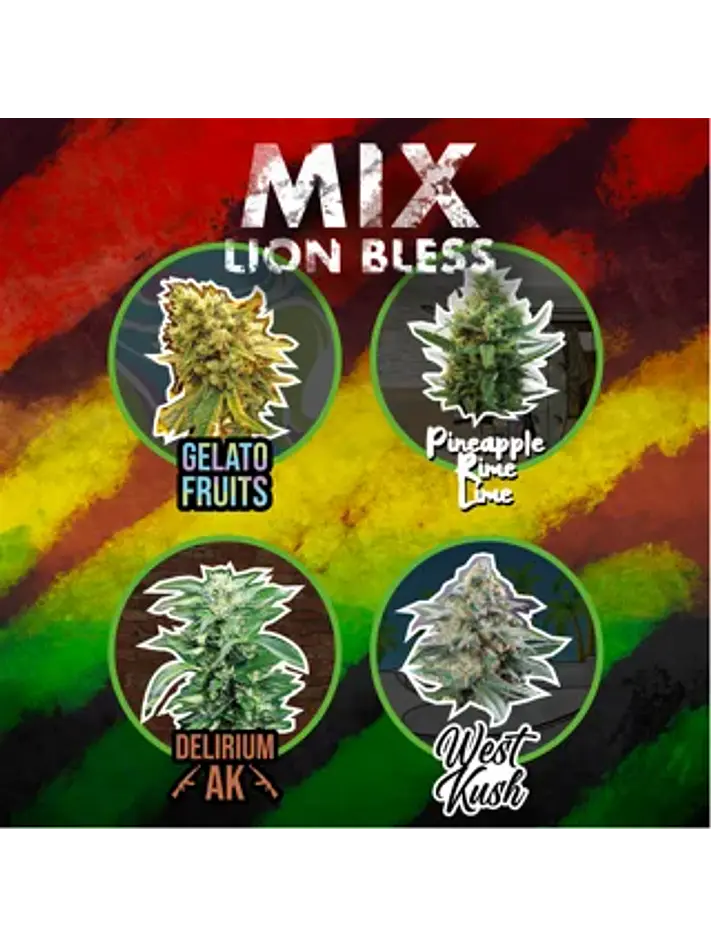 Mix Lion Bless Auto -Delirium Seeds (X8/X14) 1
