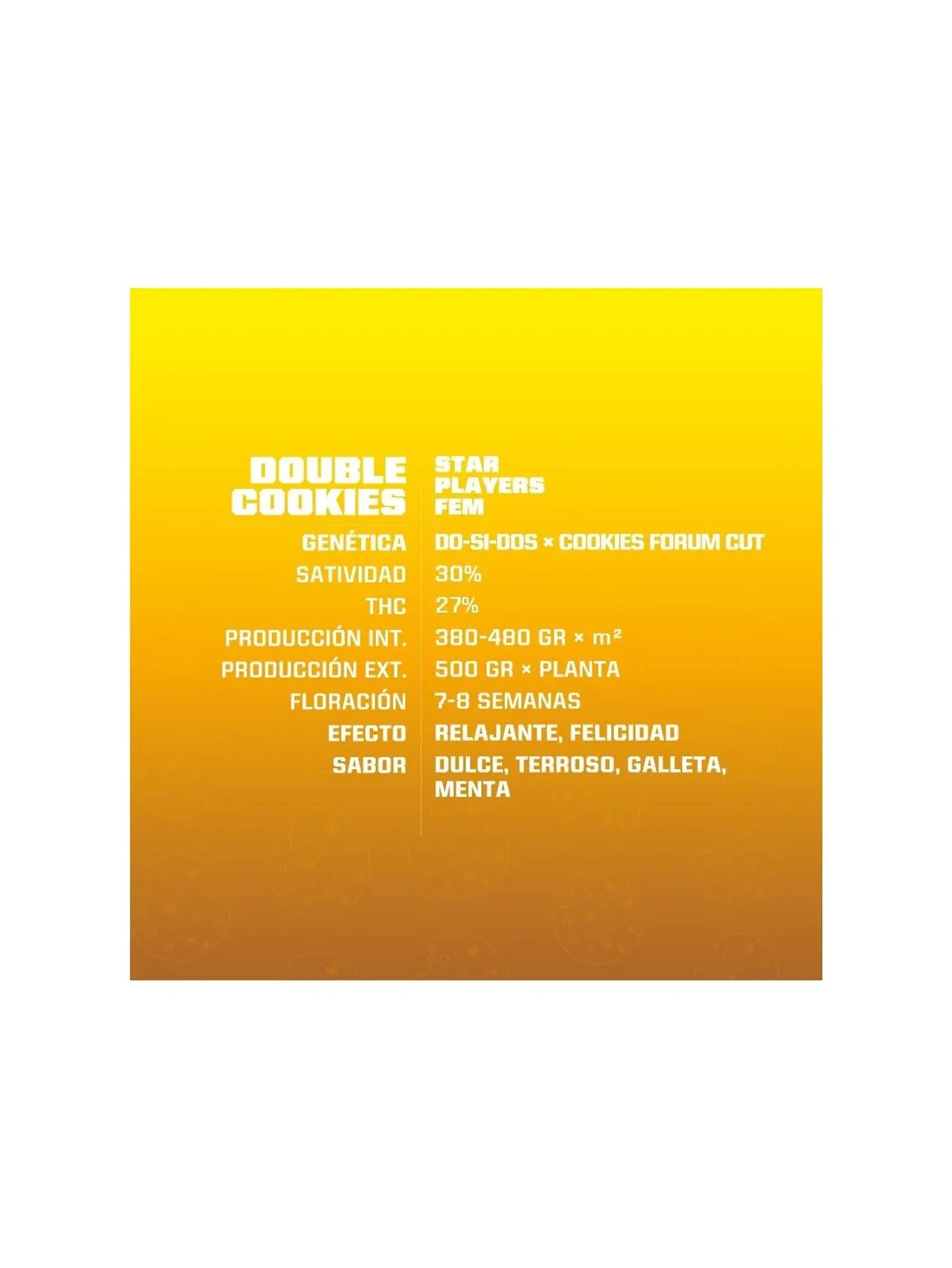 Double Cookies Fem X2-Bsf 5