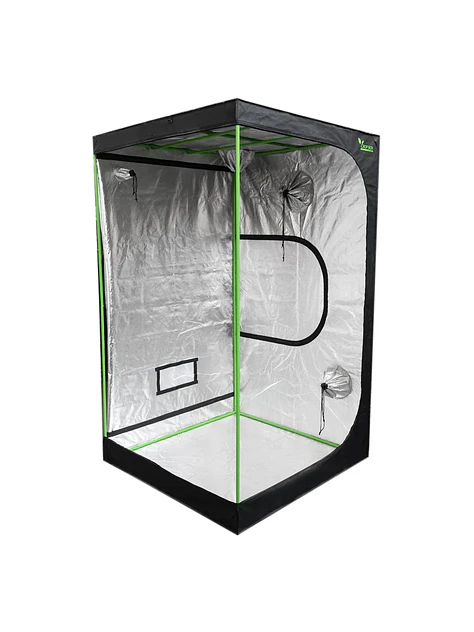 Carpa Plus -Cropbox 6