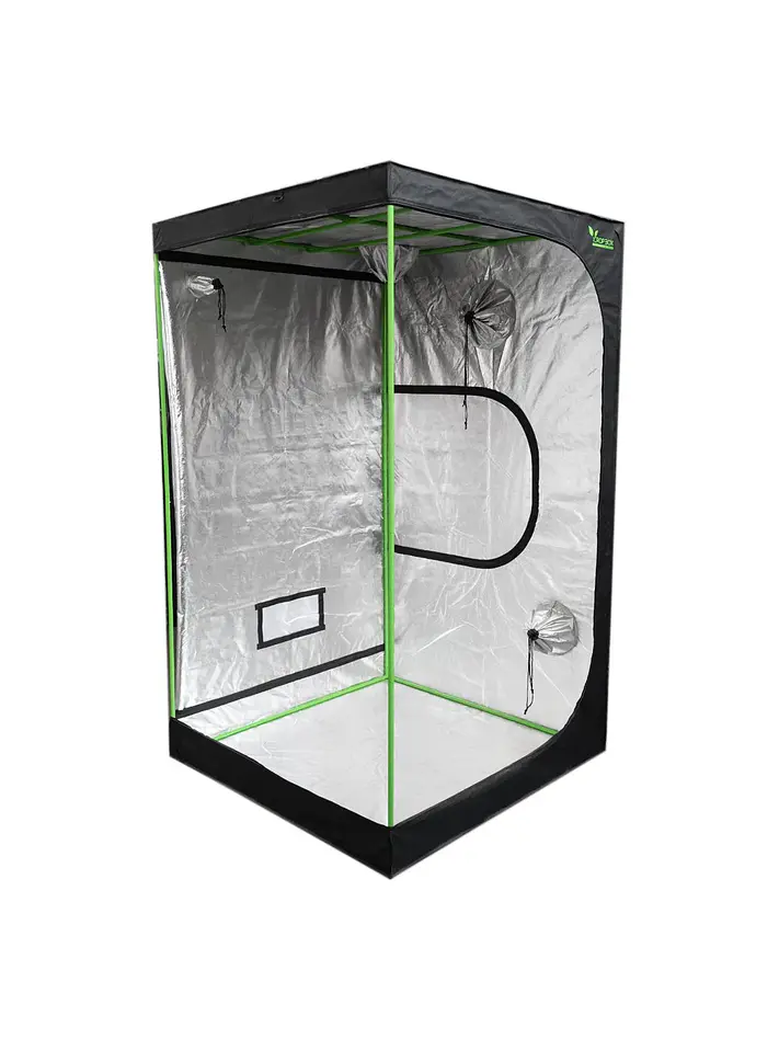 Carpa Plus -Cropbox 6