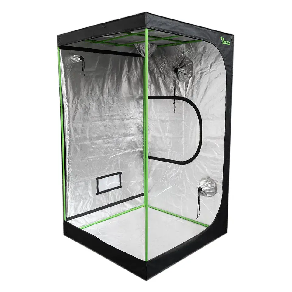 Carpa Plus -Cropbox 6