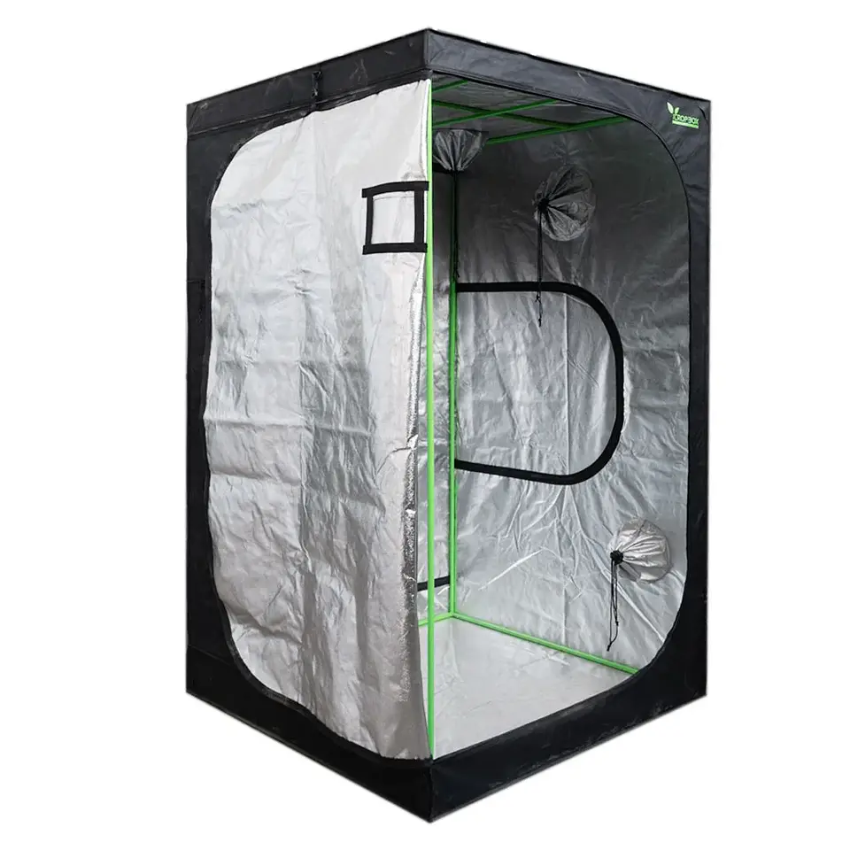 Carpa Plus -Cropbox 7