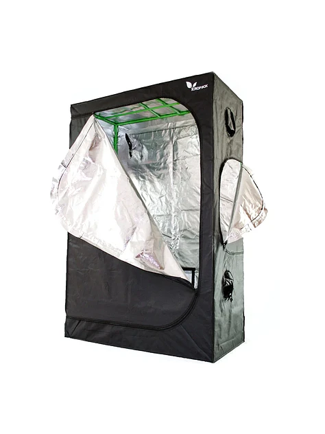 Carpa Plus -Cropbox 11