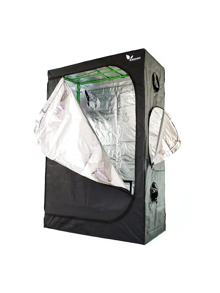 Carpa Plus -Cropbox 11