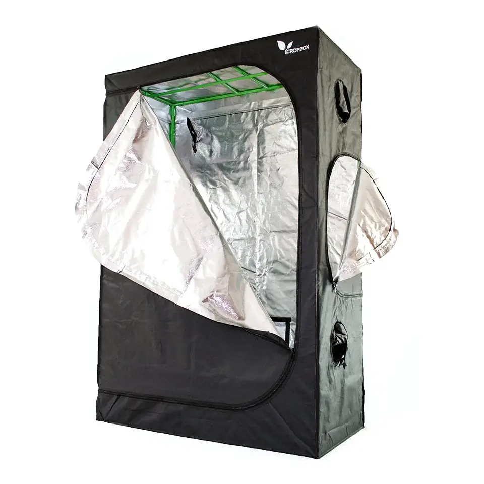 Carpa Plus -Cropbox 11