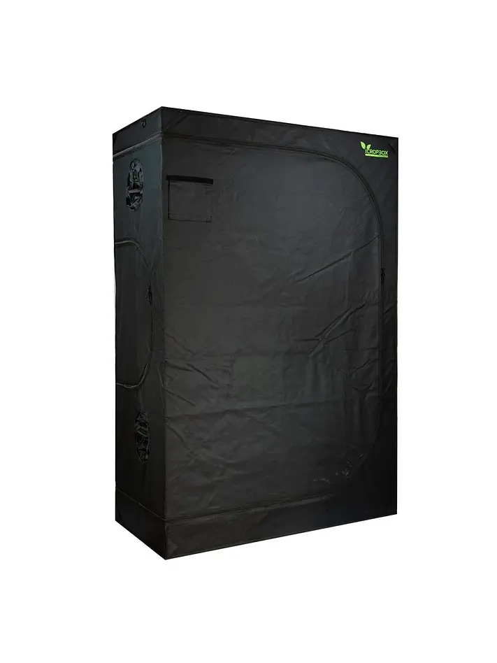 Carpa Plus -Cropbox 12
