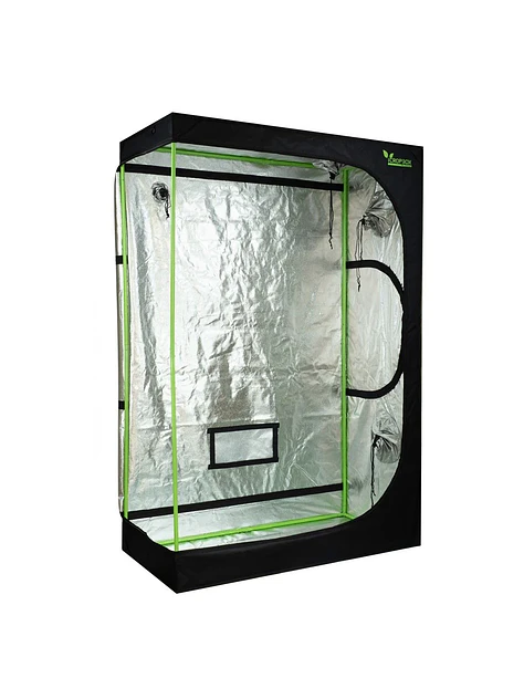 Carpa Plus -Cropbox 13