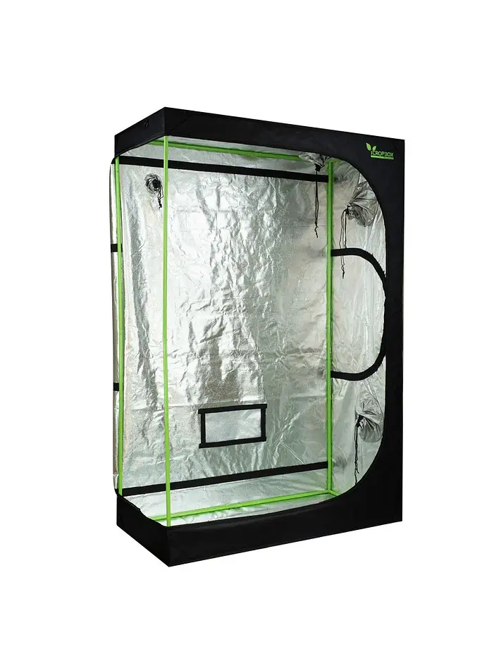 Carpa Plus -Cropbox 13