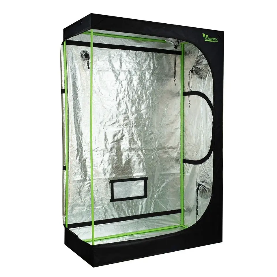 Carpa Plus -Cropbox 13