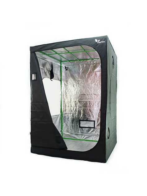 Carpa Plus -Cropbox 14