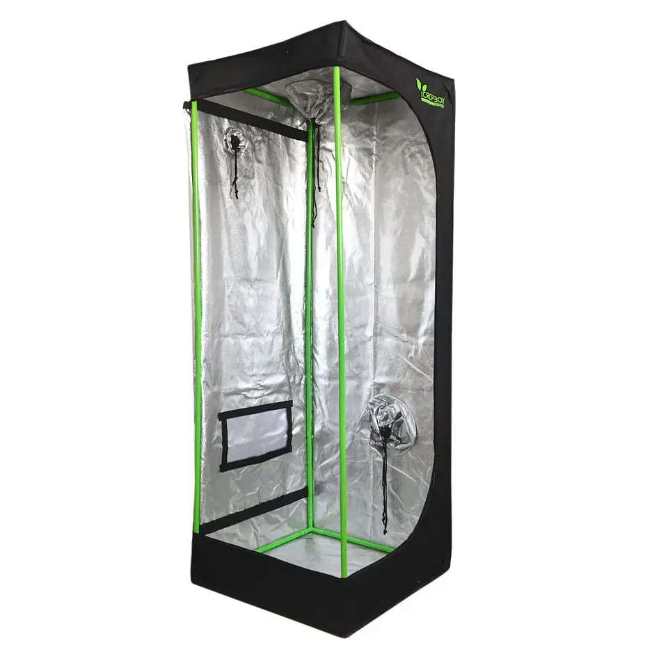 Carpa Plus -Cropbox 16
