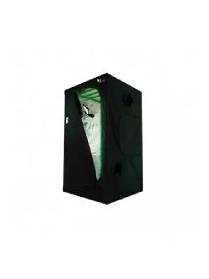 Carpa Plus -Cropbox 17