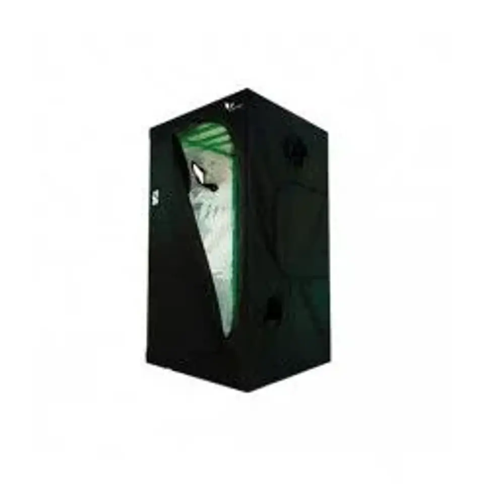 Carpa Plus -Cropbox 17