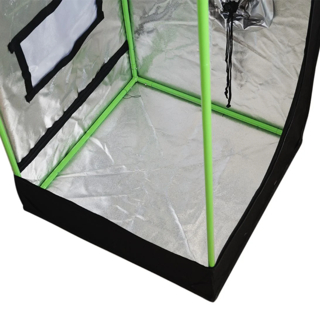 Carpa Plus -Cropbox 22