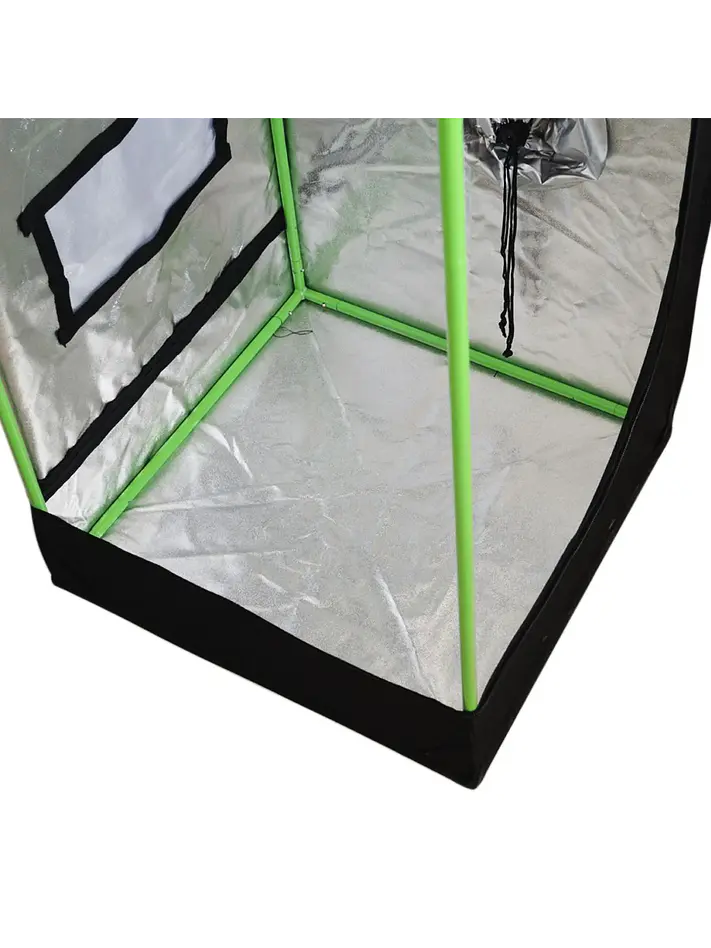 Carpa Plus -Cropbox 22