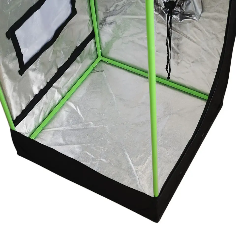 Carpa Plus -Cropbox 22