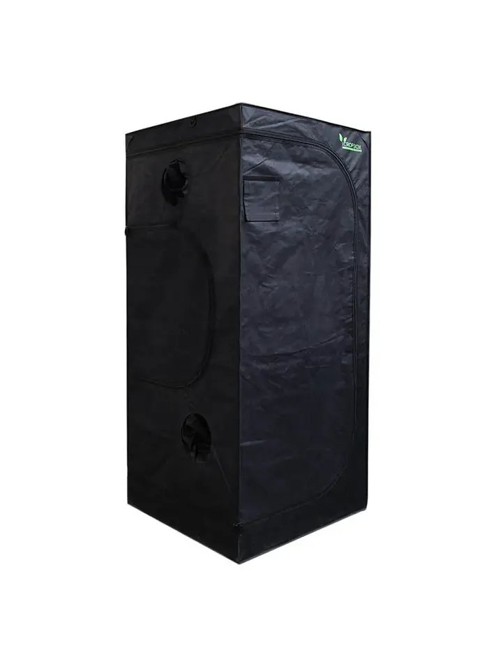 Carpa Plus -Cropbox 24