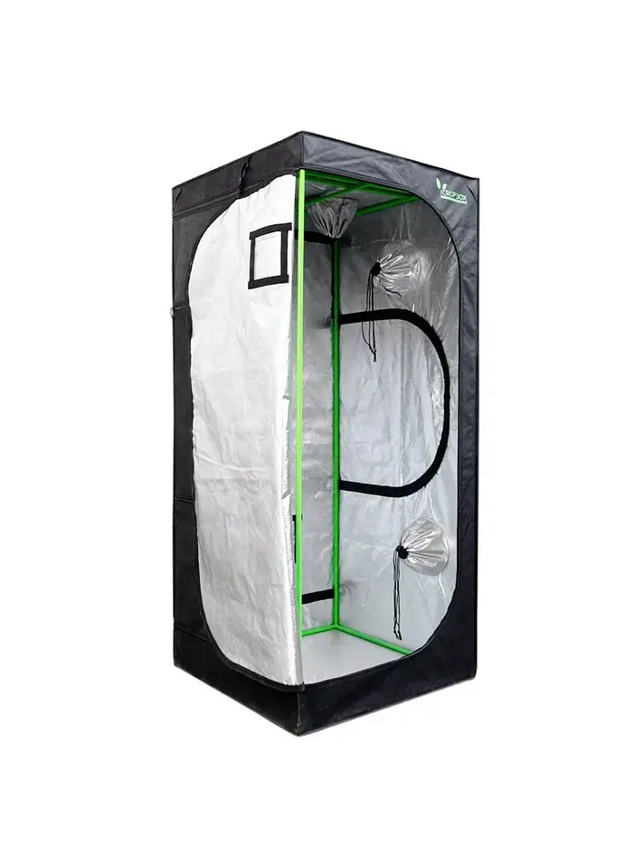 Carpa Plus -Cropbox 29