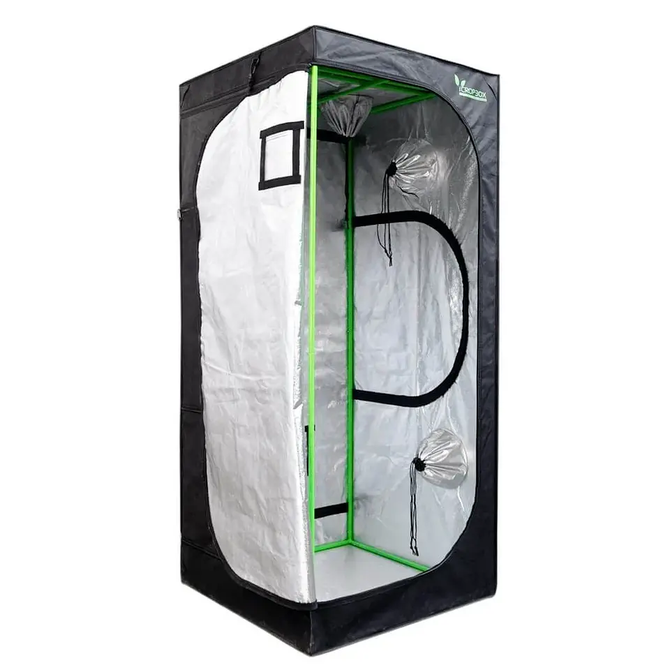 Carpa Plus -Cropbox 29