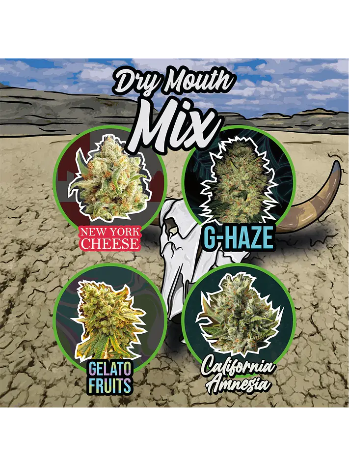 Mix Dry Mouth Line Auto - Delirium Seeds (X4/X14) 3