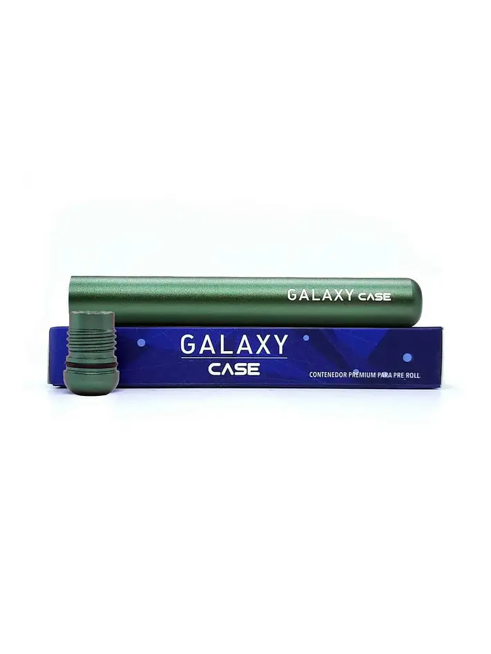 Case -Galaxy 10