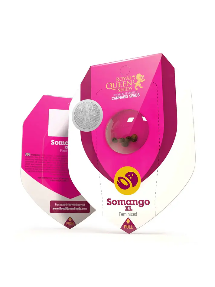 Somango Xl Fem-Royal Queen Seeds (X1/X3) 2
