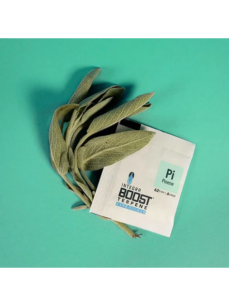 Regulador De Humedad Con Terpeno 4G 62%-Integra Boost 11