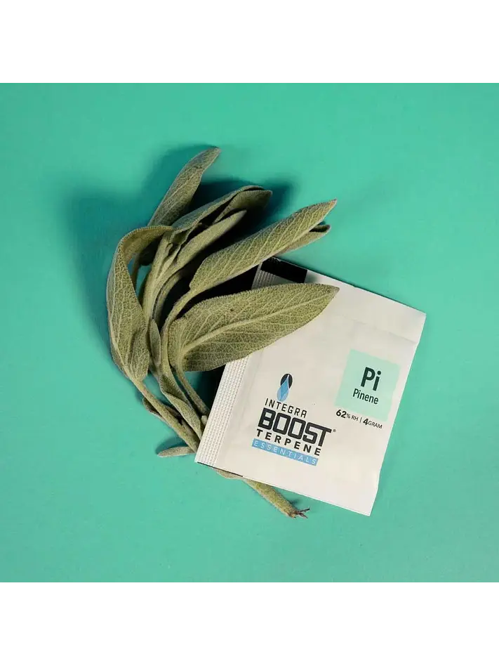 Regulador De Humedad Con Terpeno 4G 62%-Integra Boost 11