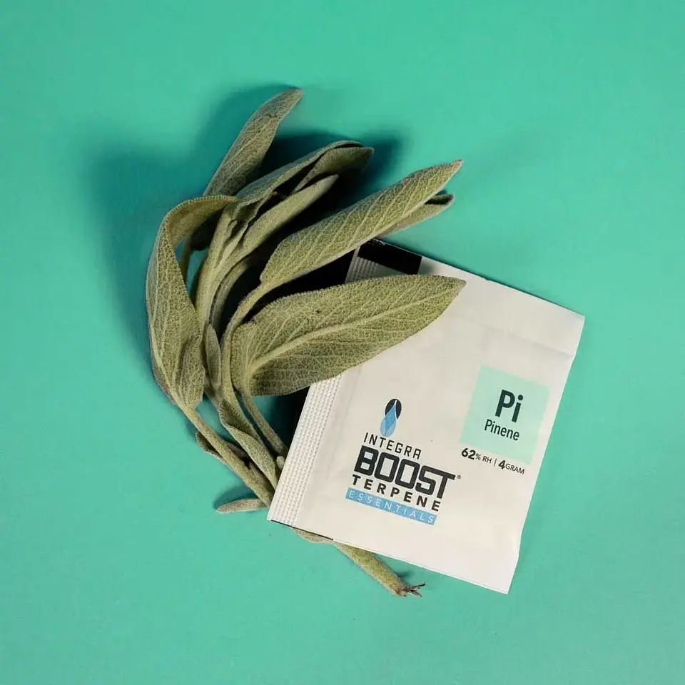 Regulador De Humedad Con Terpeno 4G 62%-Integra Boost 11