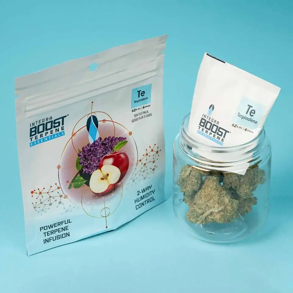 Regulador De Humedad Con Terpeno 4G 62%-Integra Boost 14