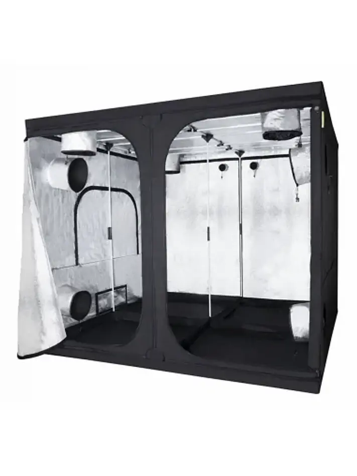 Carpa Basic -Probox 8