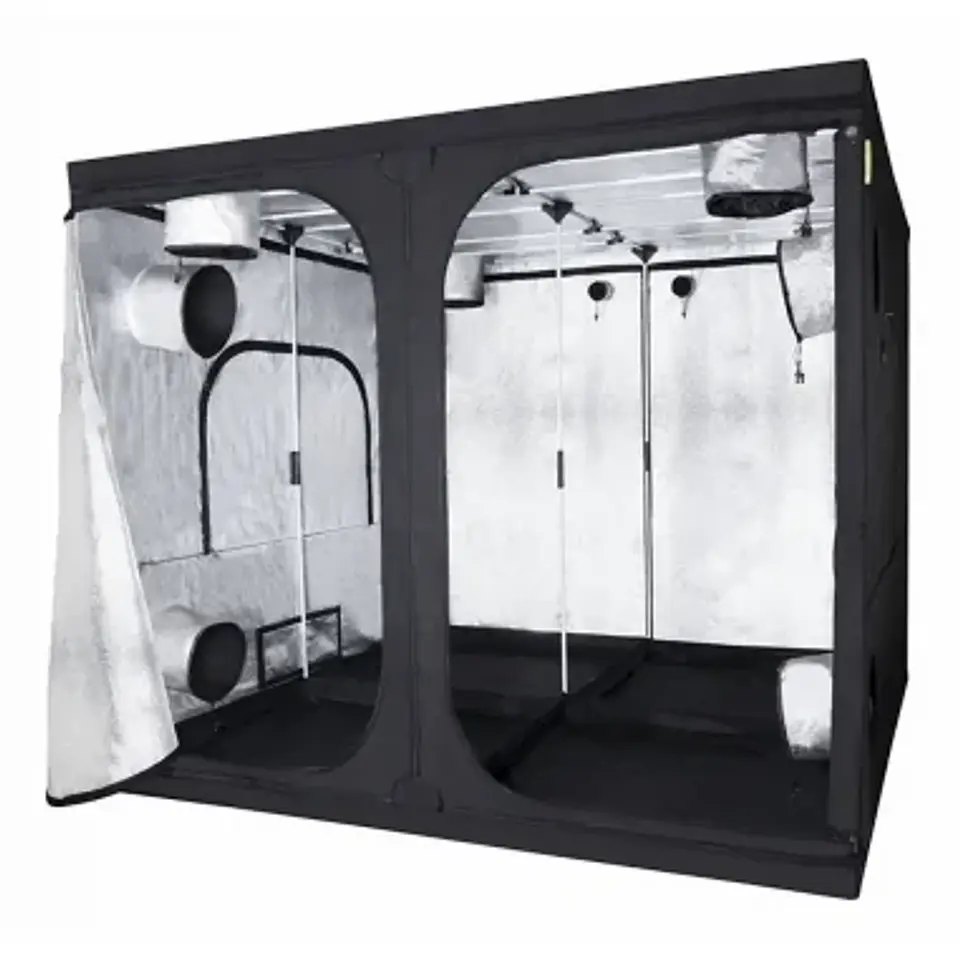 Carpa Basic -Probox 8