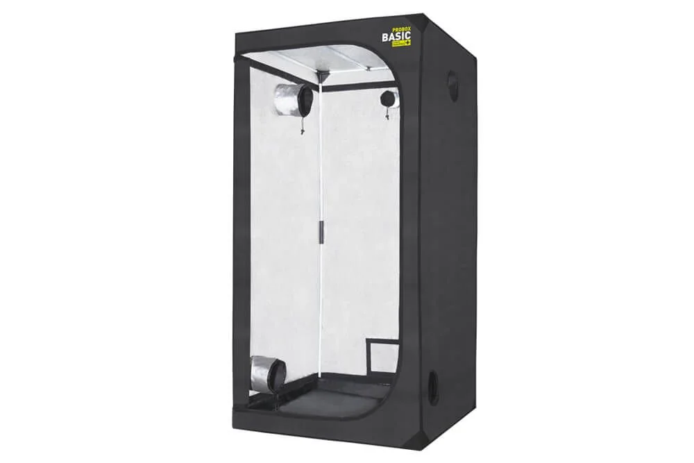 Carpa Basic -Probox 11