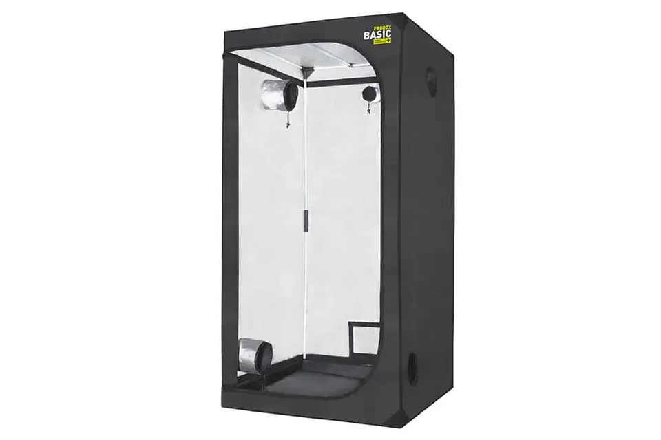Carpa Basic -Probox 11