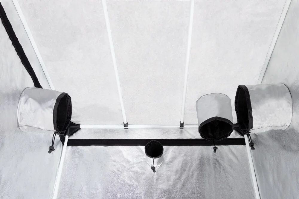 Carpa Basic -Probox 13