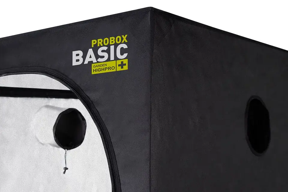 Carpa Basic -Probox 15