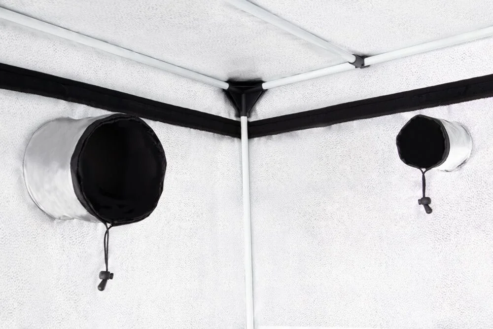 Carpa Basic -Probox 16