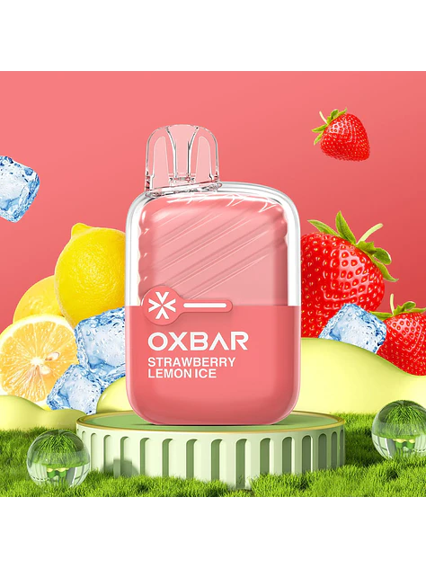 Vaporizador Mini 2200 -Oxbar 5