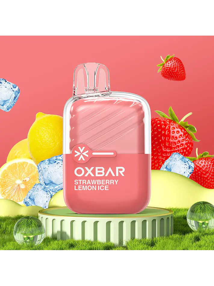 Vaporizador Mini 2200 -Oxbar 5