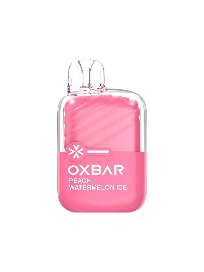 Vaporizador Mini 2200 -Oxbar 9