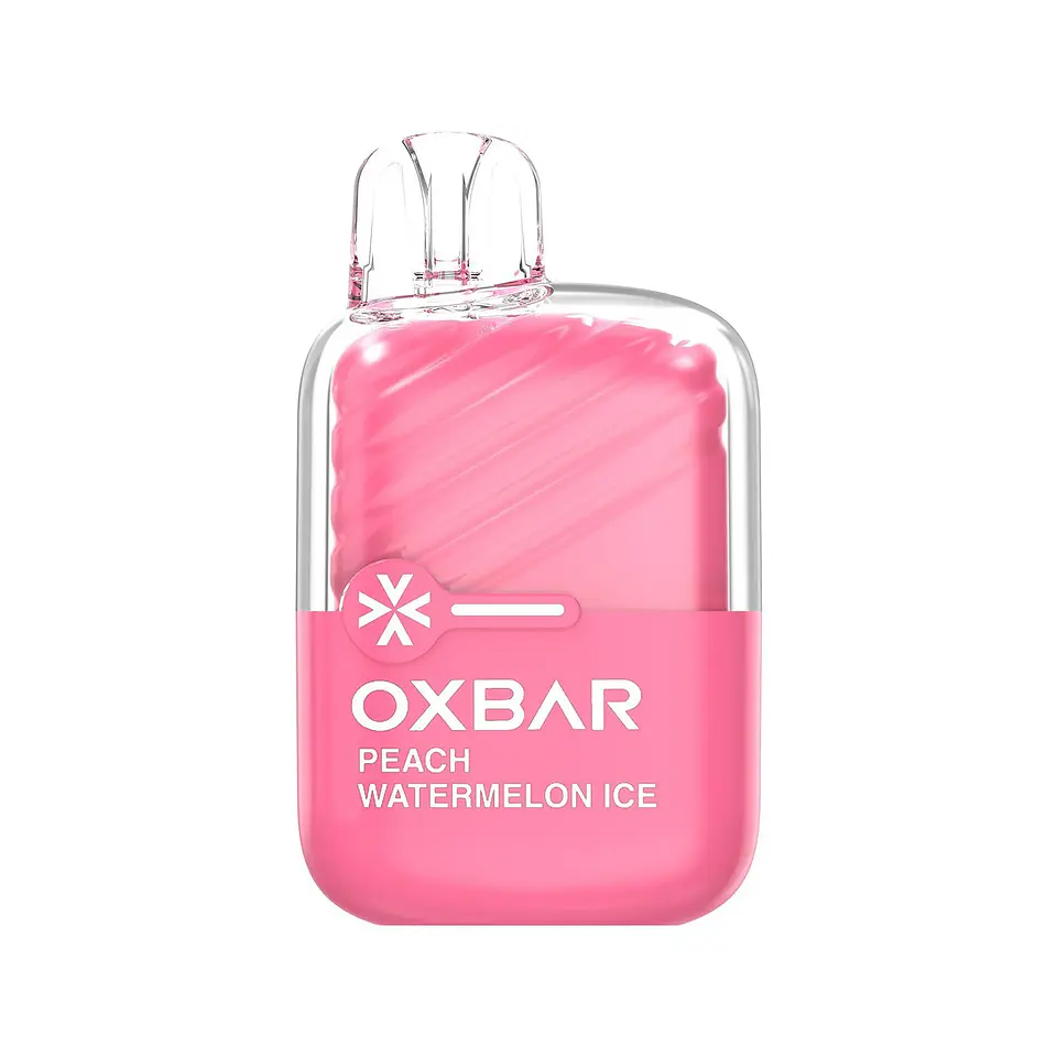 Vaporizador Mini 2200 -Oxbar 9