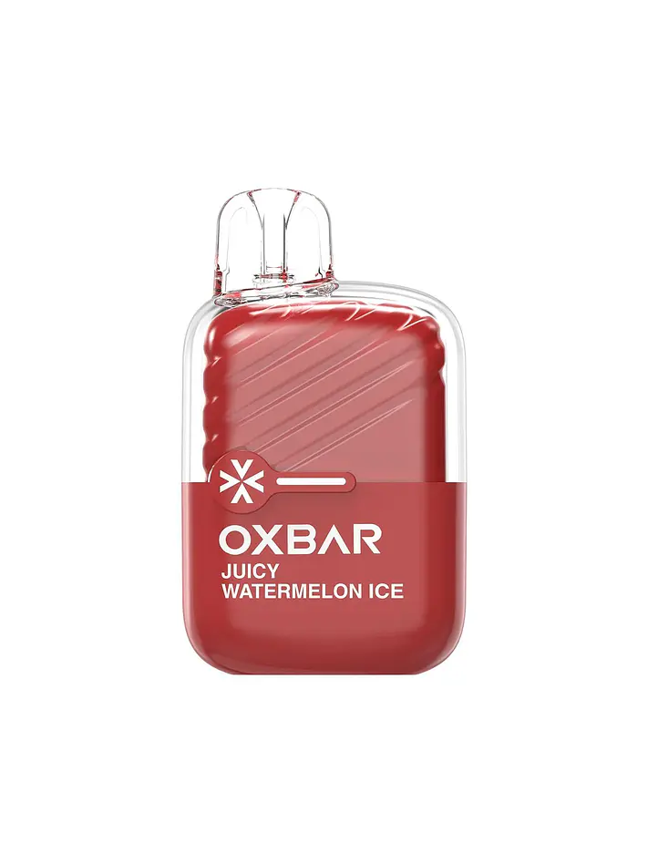 Vaporizador Mini 2200 -Oxbar 10