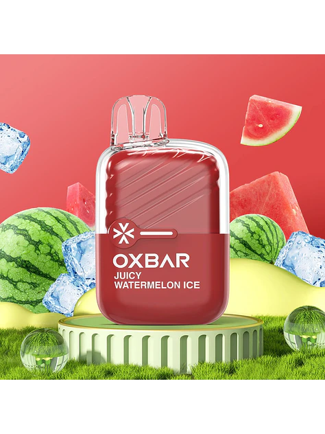 Vaporizador Mini 2200 -Oxbar 12