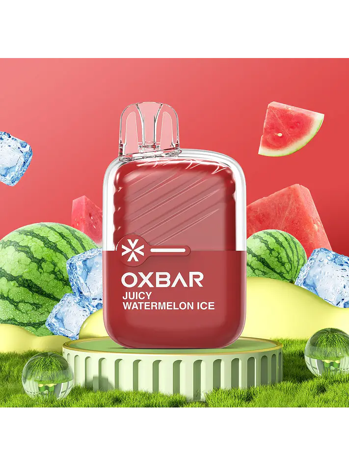 Vaporizador Mini 2200 -Oxbar 12
