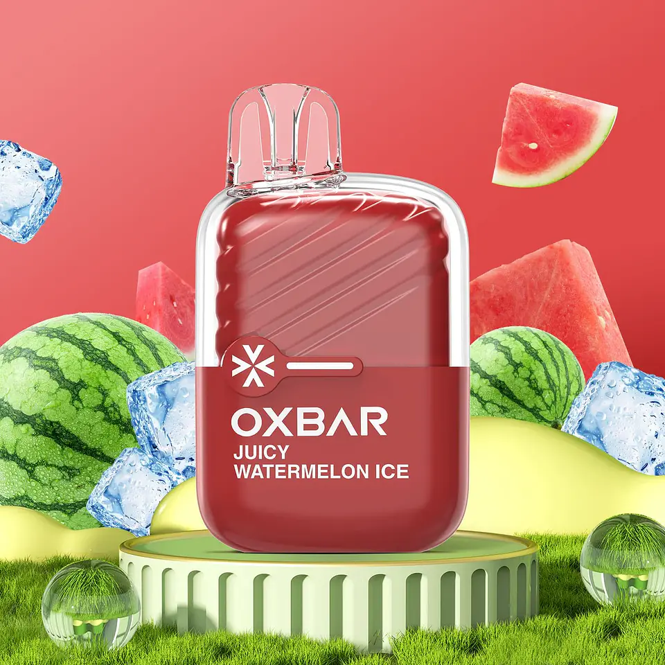 Vaporizador Mini 2200 -Oxbar 12