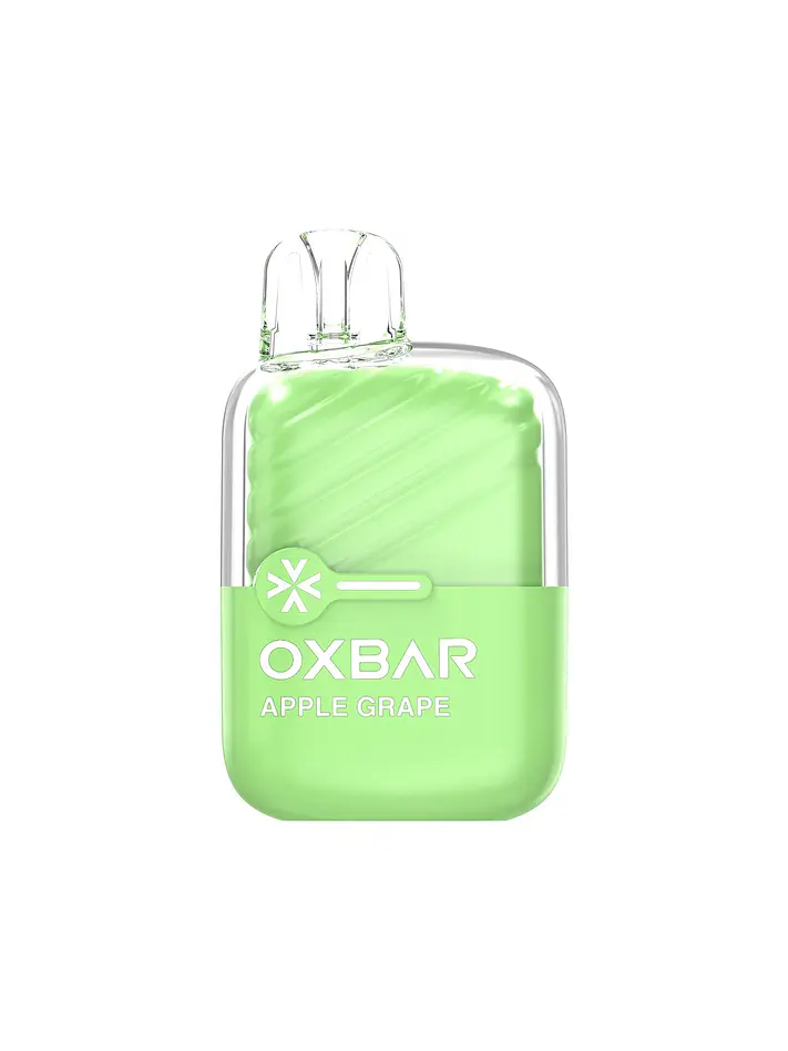 Vaporizador Mini 2200 -Oxbar 15