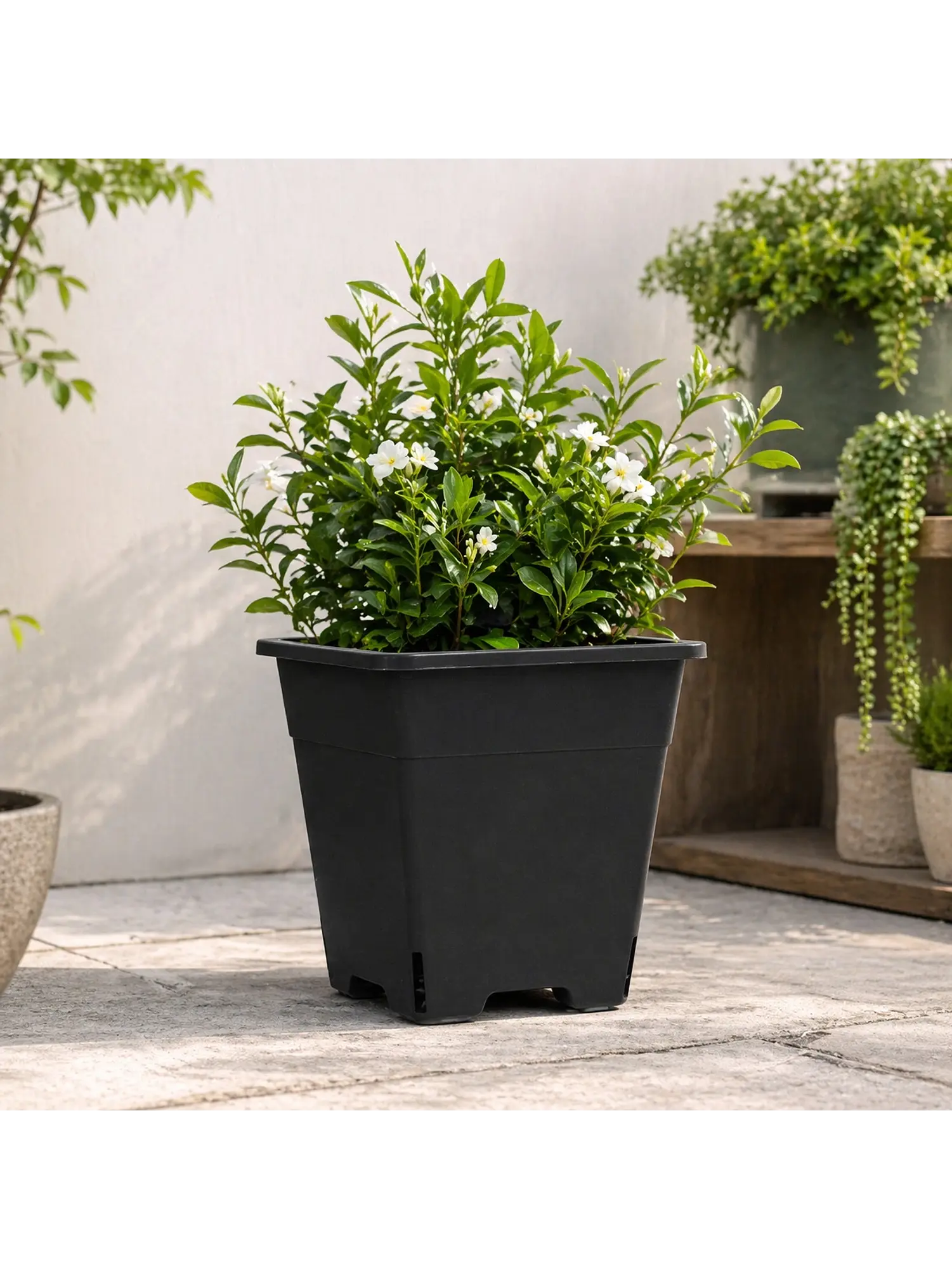 Maceta Profesional Cuadrada Negra medidas variadas- Kasvi 13