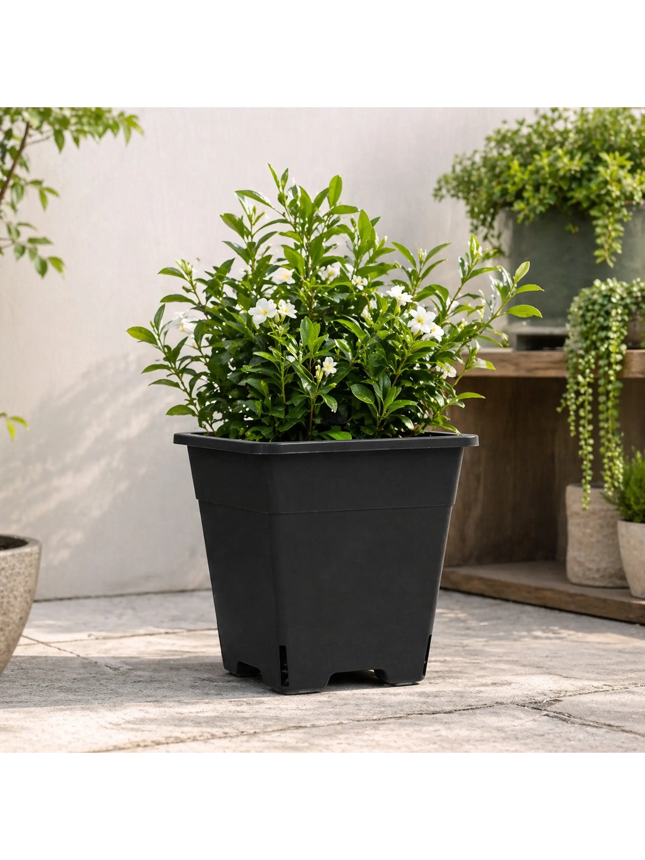 Maceta Profesional Cuadrada Negra medidas variadas- Kasvi 13